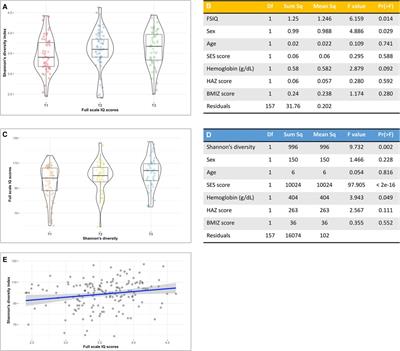 Relationships of the gut microbiome with cognitive development among healthy school-age children